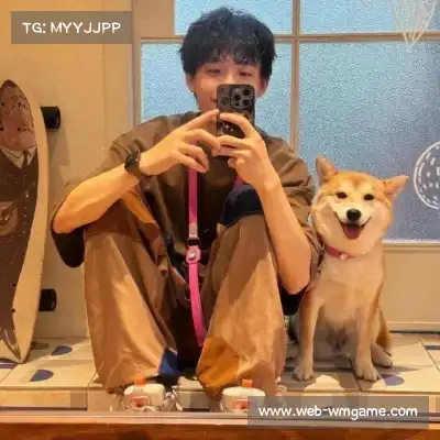 茅宝